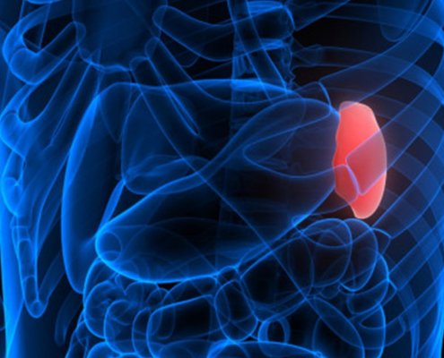 Spleen