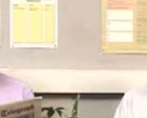 The Interview infomercial