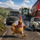 Why did the chicken cross the road?